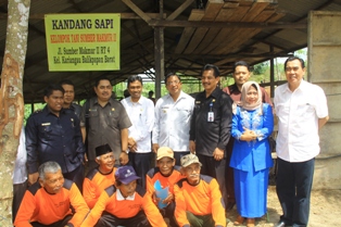 foto Pemkot Serahkan 115 Sapi untuk Kelompok Tani Peternak